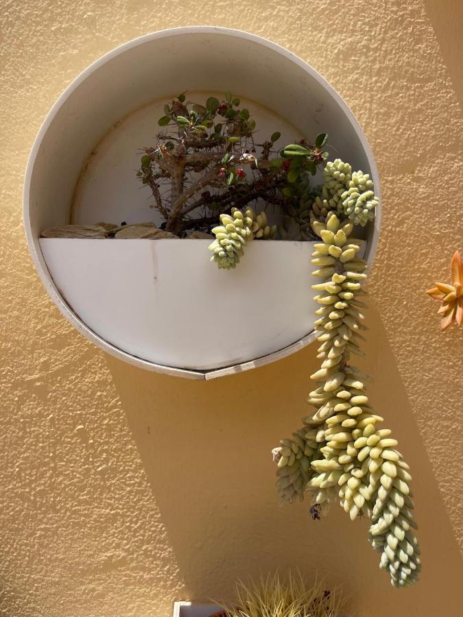 科拉雷侯Eco House Golfinhos公寓 外观 照片